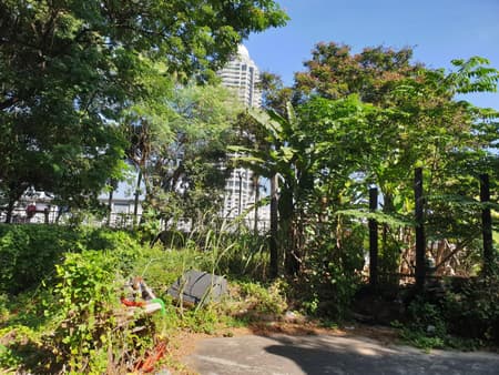 Suan San Pocket Park